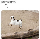 볶음밥